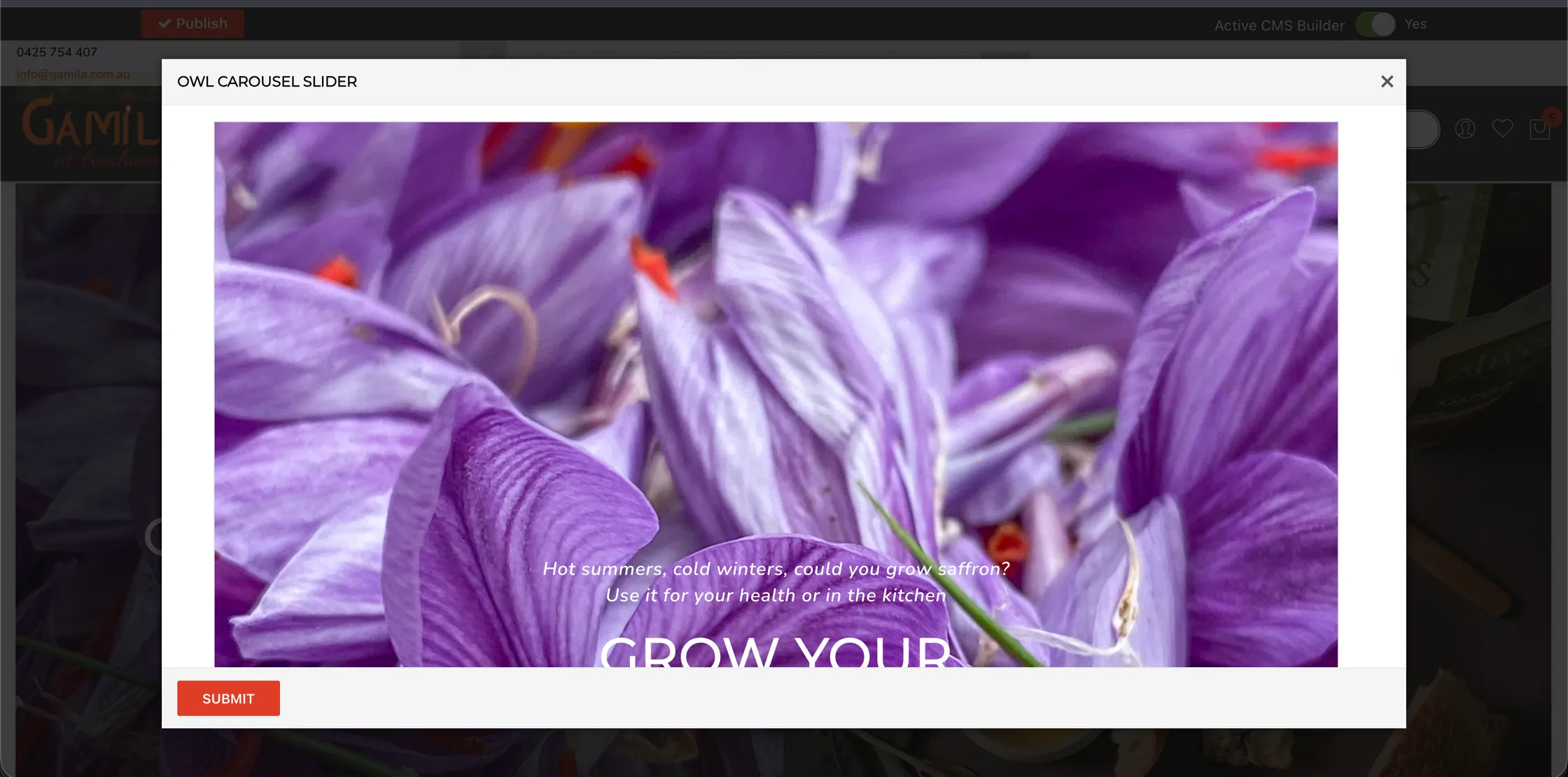 Gamila recipe and editorial page with blog content and rich custom layouts